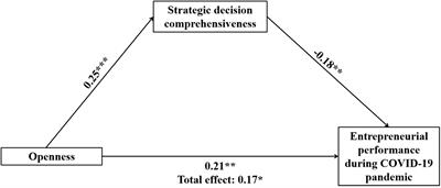 Openness and Entrepreneurial Performance During COVID-19 Pandemic: Strategic Decision Comprehensiveness as an Inconsistent Mediator